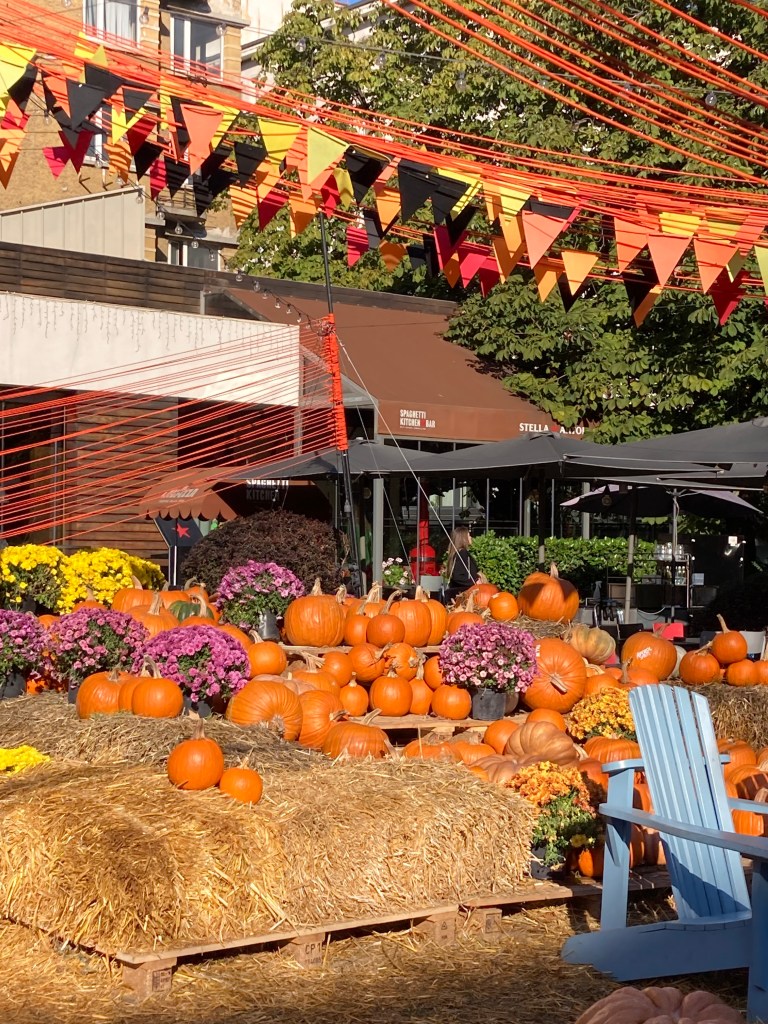 A display of pumpkins and flowers in the sunshine