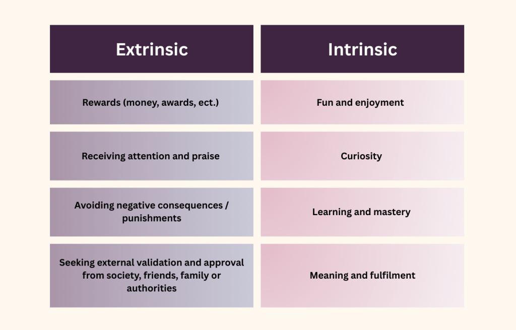 This grid contains a list of extrinsic and intrinsic factors of motivation.